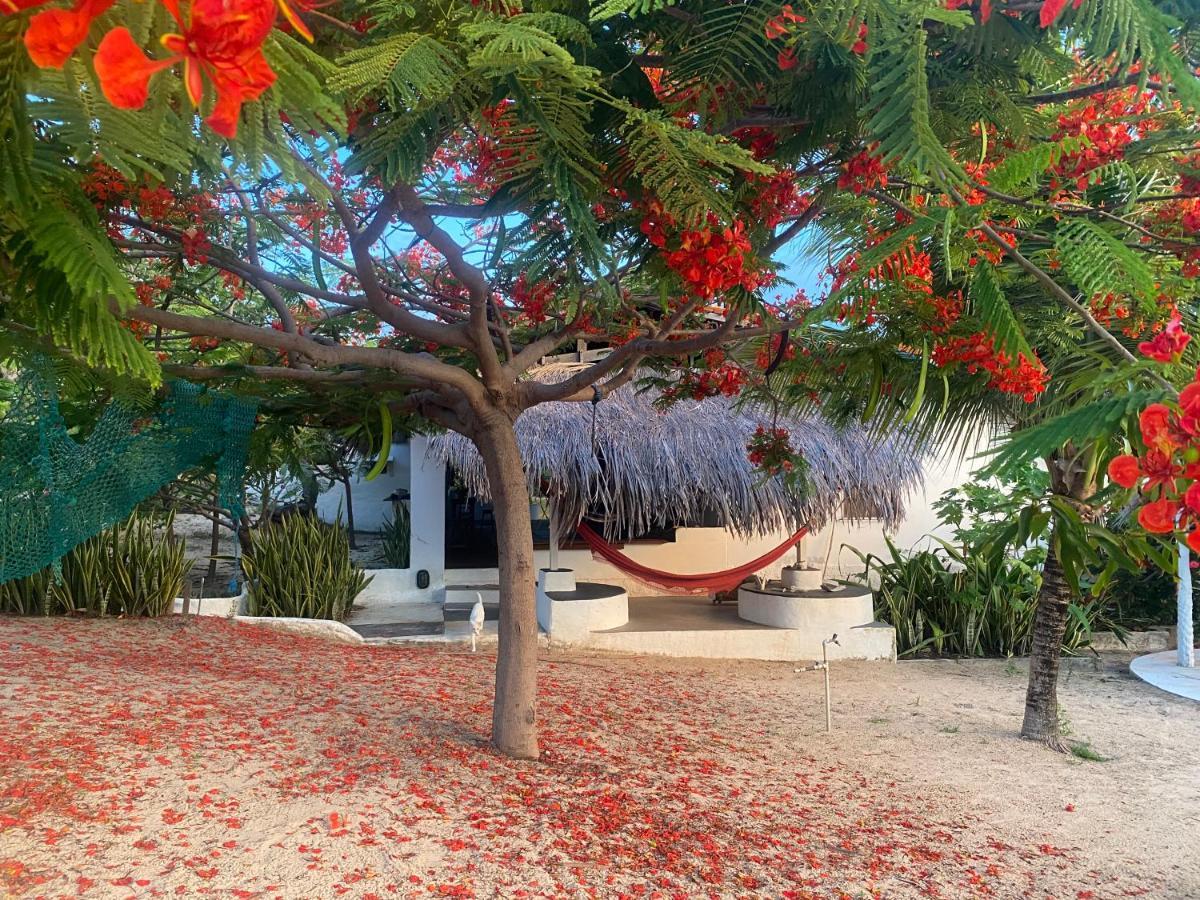 Casa Acquamarina Hotel Atins Bagian luar foto