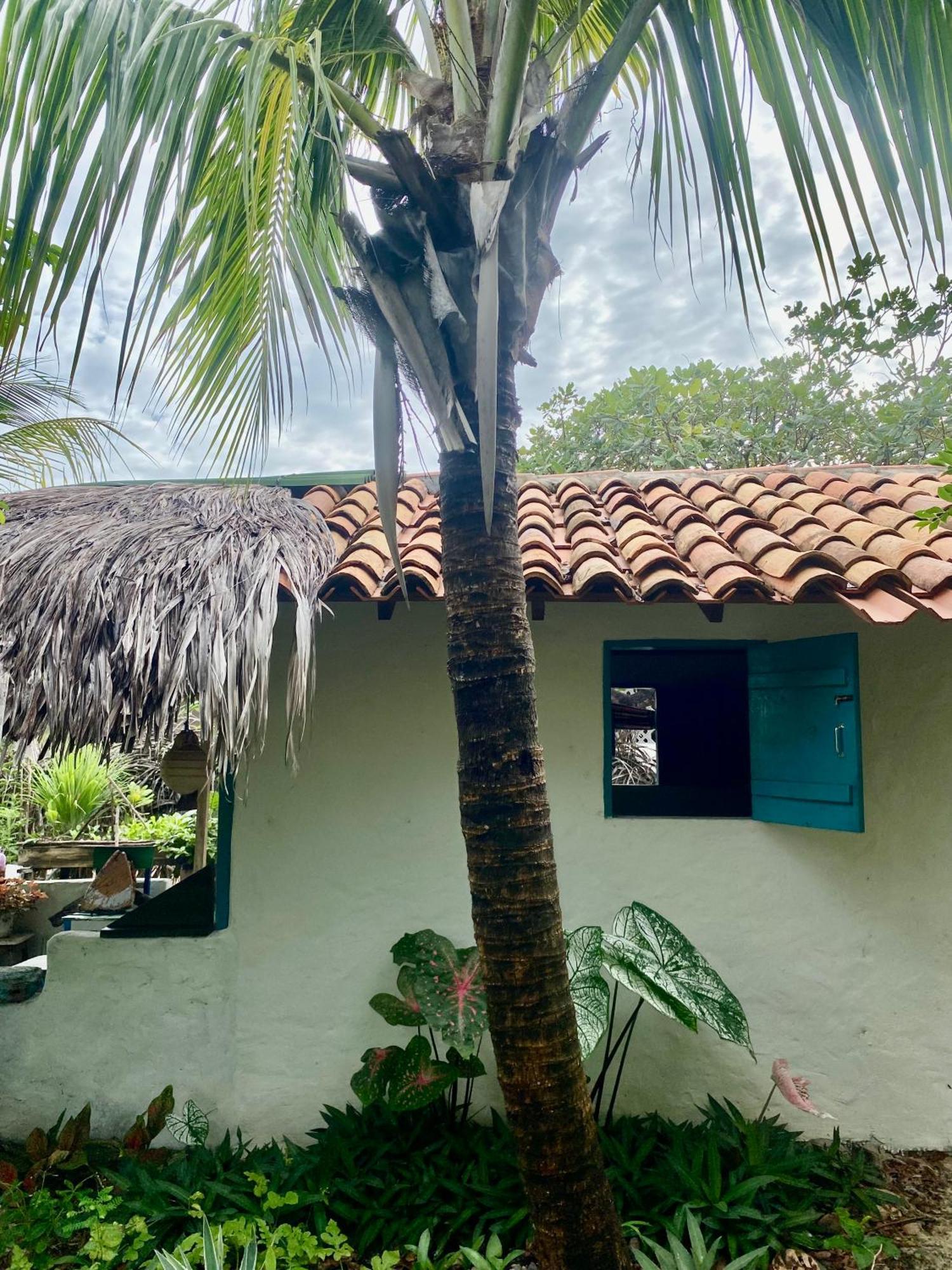 Casa Acquamarina Hotel Atins Bagian luar foto