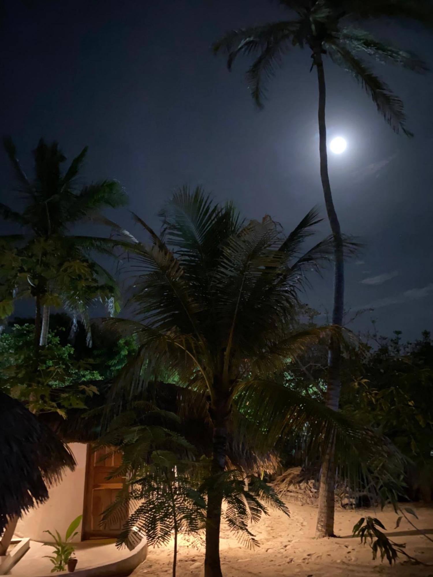 Casa Acquamarina Hotel Atins Bagian luar foto